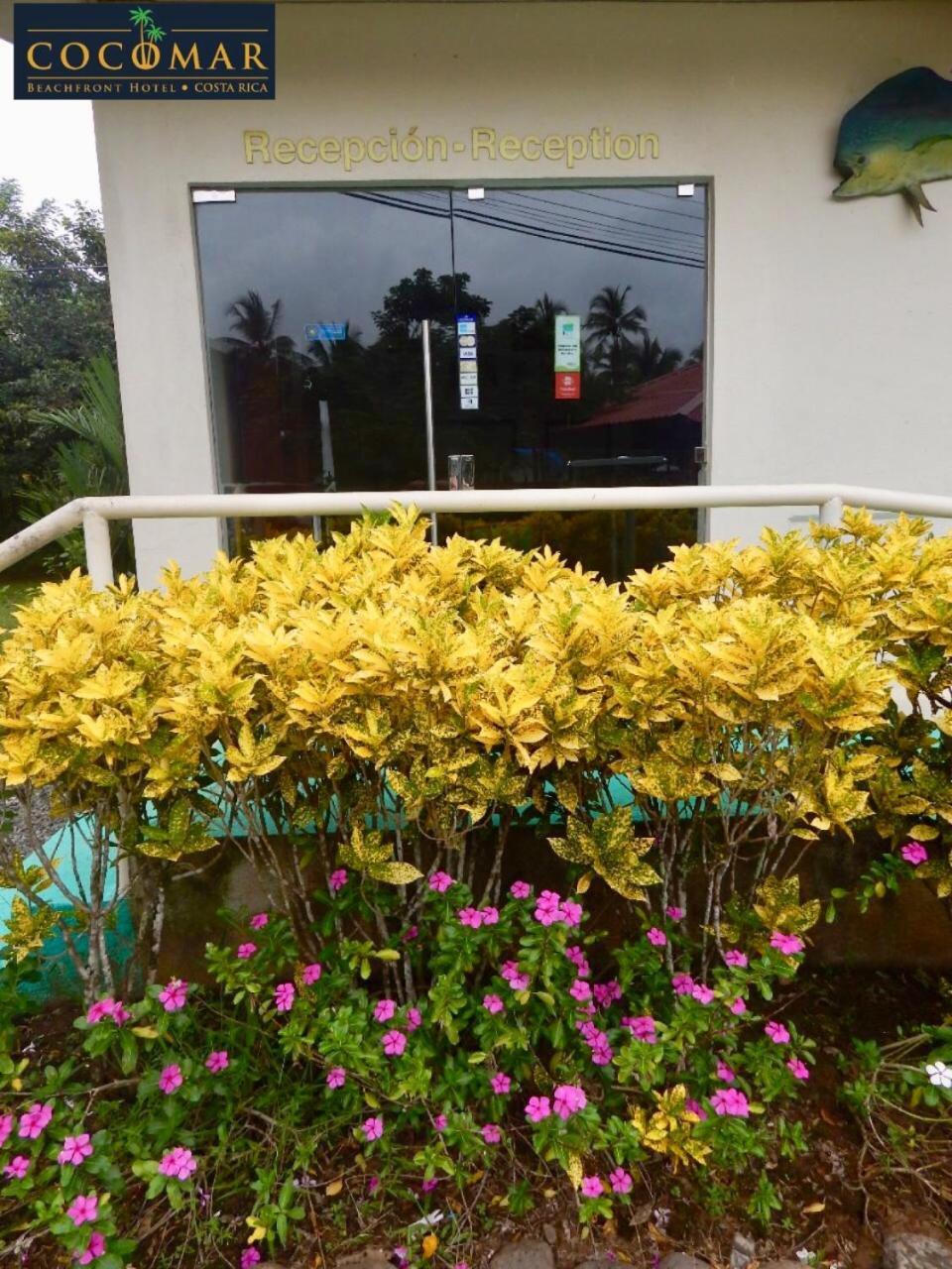 Cocomar Beachfront Hotel Parrita Luaran gambar