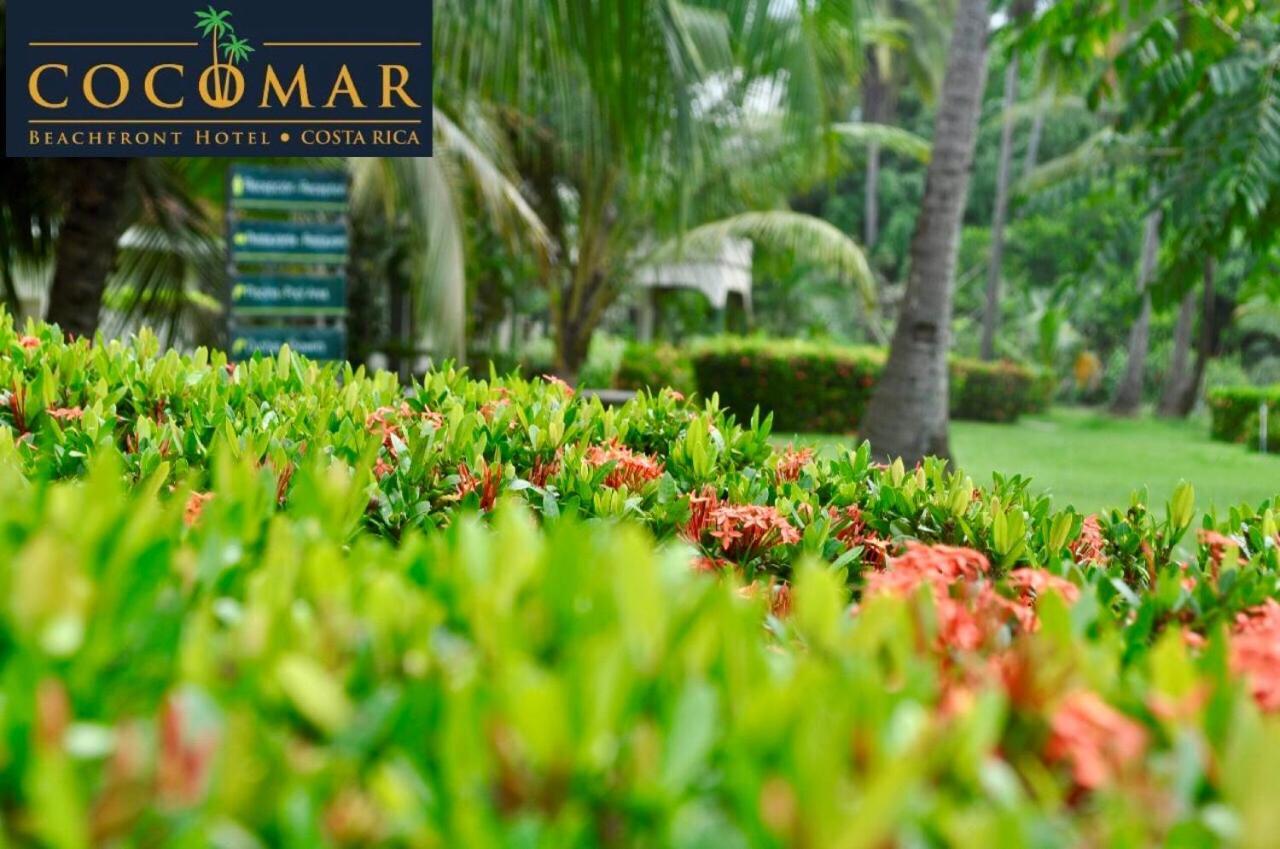 Cocomar Beachfront Hotel Parrita Luaran gambar