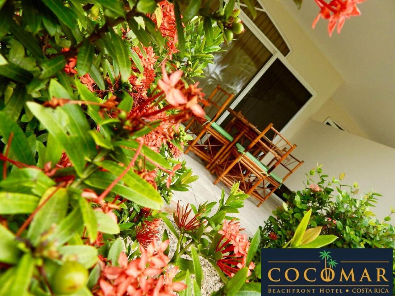 Cocomar Beachfront Hotel Parrita Luaran gambar