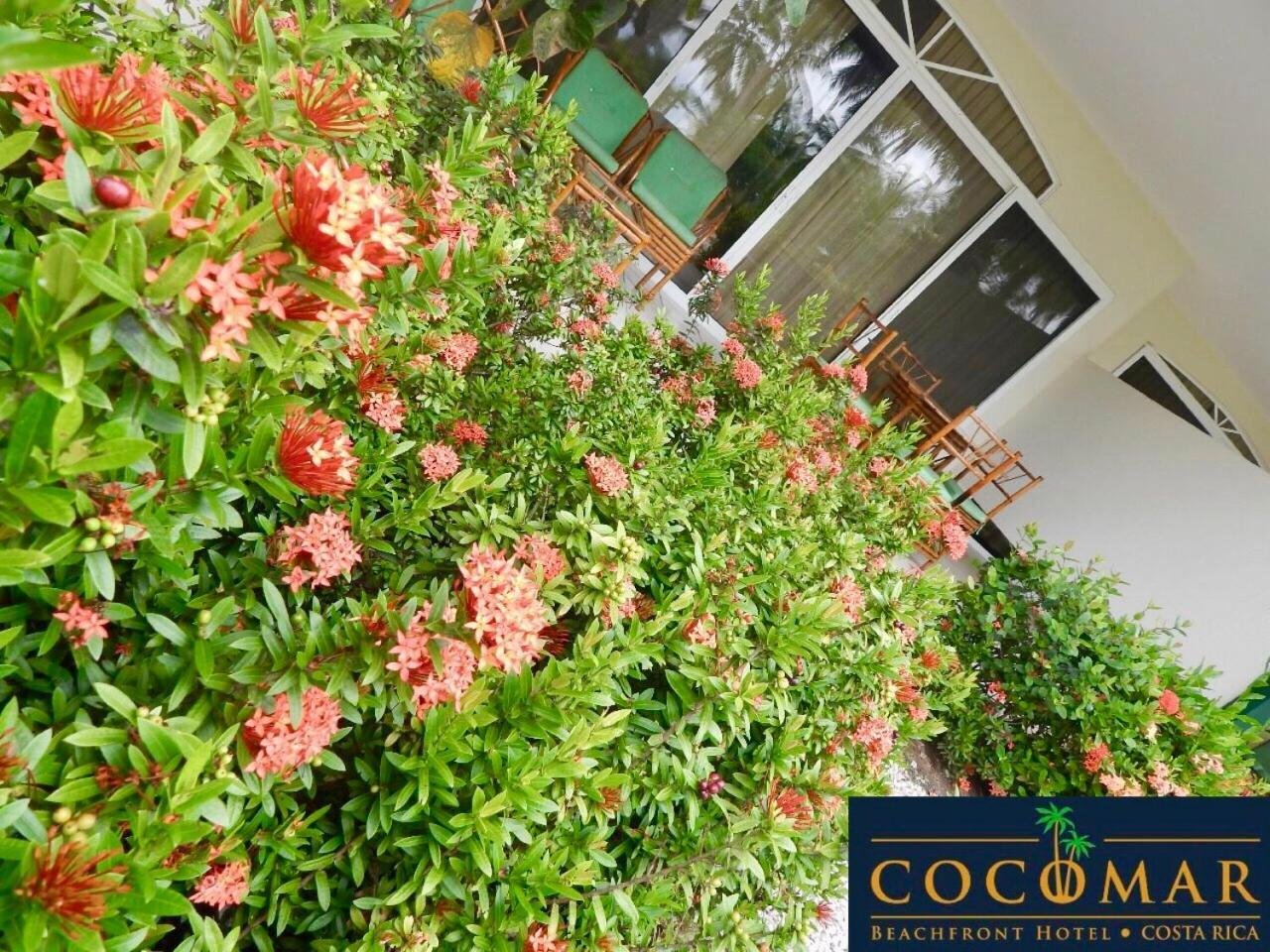 Cocomar Beachfront Hotel Parrita Luaran gambar